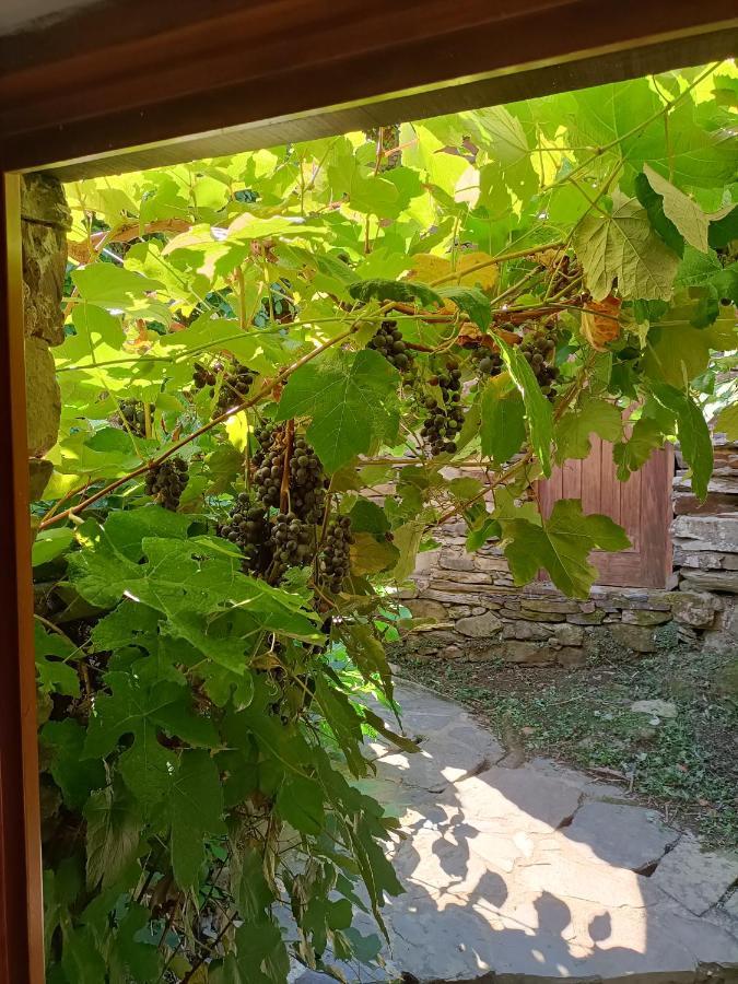Casa Do Ti Tote Βίλα Talasnal Εξωτερικό φωτογραφία